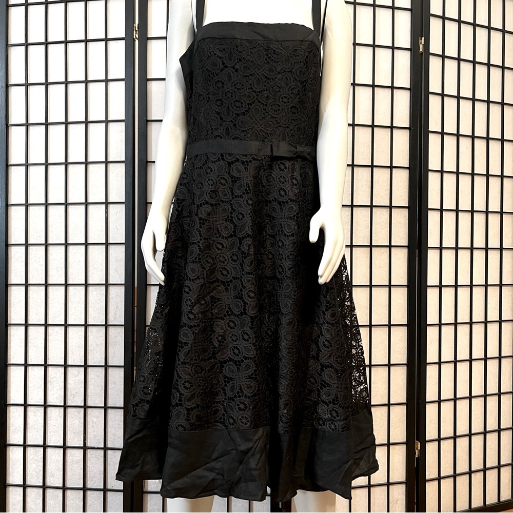 Maggy London Black Fit Flare Lace Dress